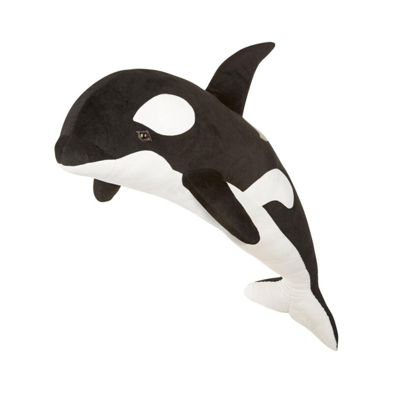 Kardszárnyú delfin - 1. kép