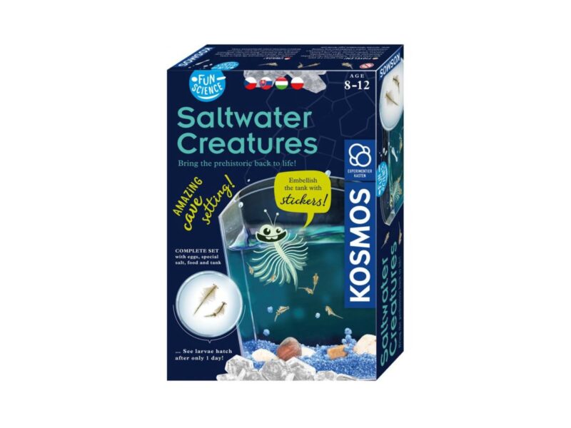 Saltwater Creatures kísérletező szett - 1. kép