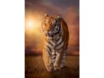 Tigris 1500 db-os puzzle - Clementoni - 1. kép