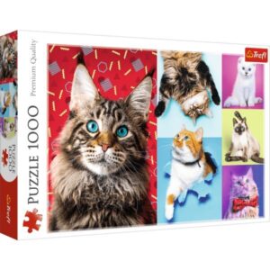 Boldog macskák 1000 darabos puzzle - 1. Kép