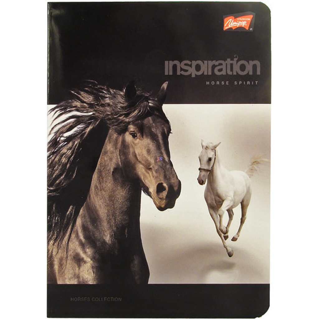Inspiration lovas A5-ös vonalas 2. osztályos füzet - fekete 16-32 - 1. Kép