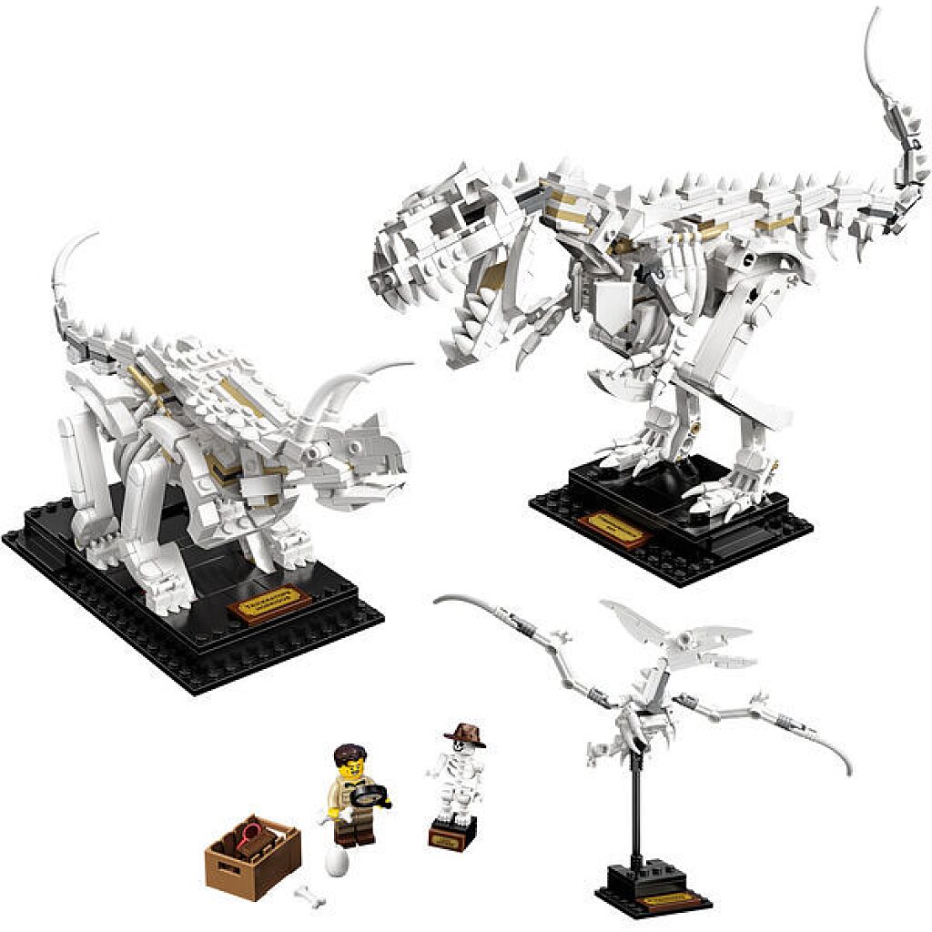 LEGO Ideas: Dinoszaurusz maradványok 21320 - 2. Kép