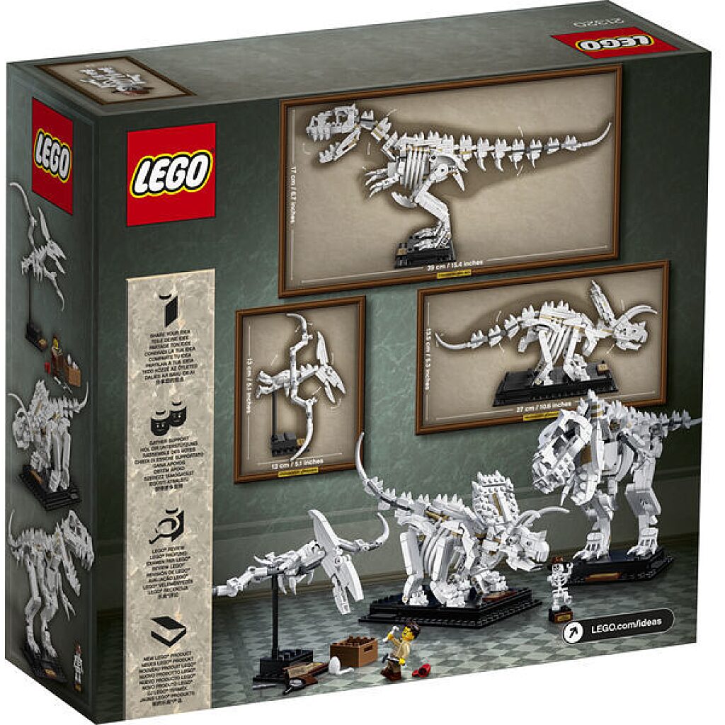 LEGO Ideas: Dinoszaurusz maradványok 21320 - 3. Kép