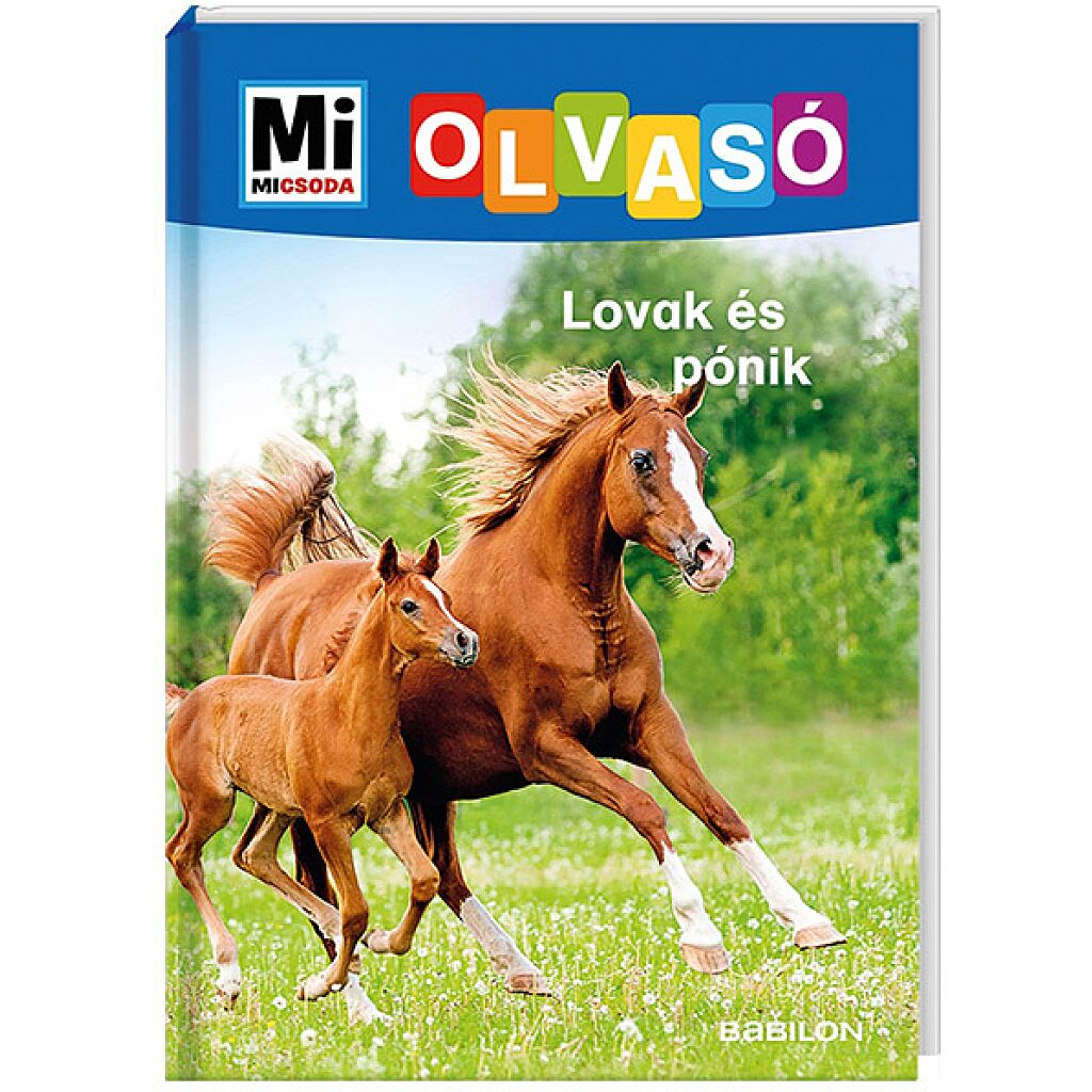 Mi MICSODA olvasó: Lovak és pónik - 1. Kép