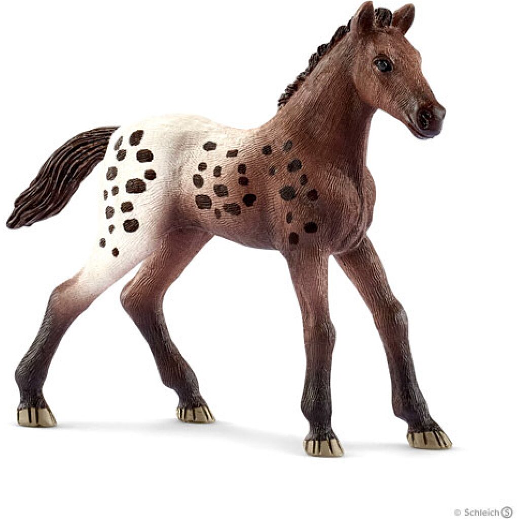 Schleich: appaloosa csikó figura - 1. Kép
