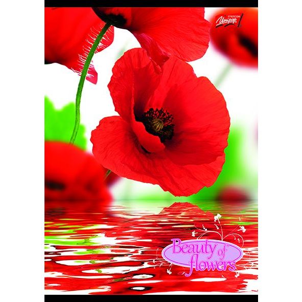 96 lapos - többféle - 1. Kép