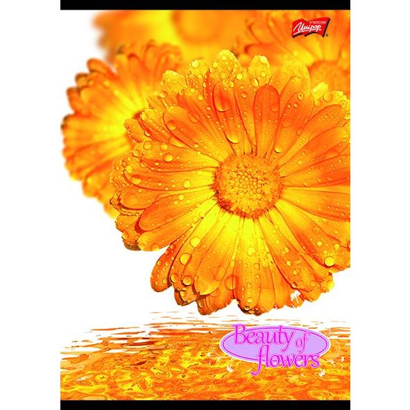 UNIPAP Flowers négyzetrácsos füzet - A4