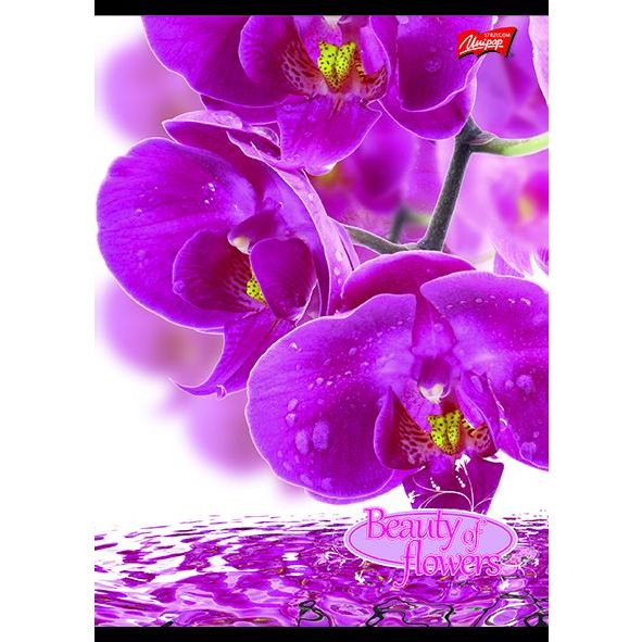 UNIPAP Flowers négyzetrácsos füzet - A4