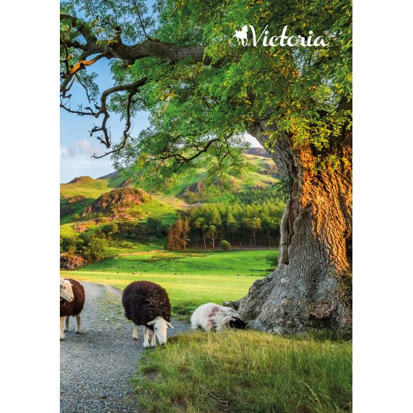 VICTORIA Nature négyzetrácsos füzet - A5