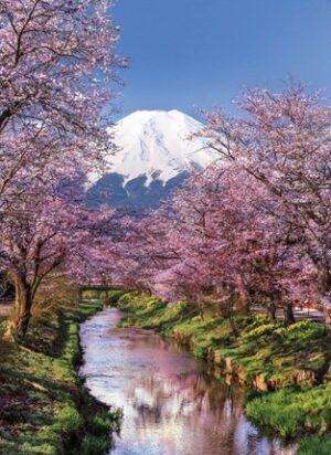 Fuji (1000) - 1. Kép