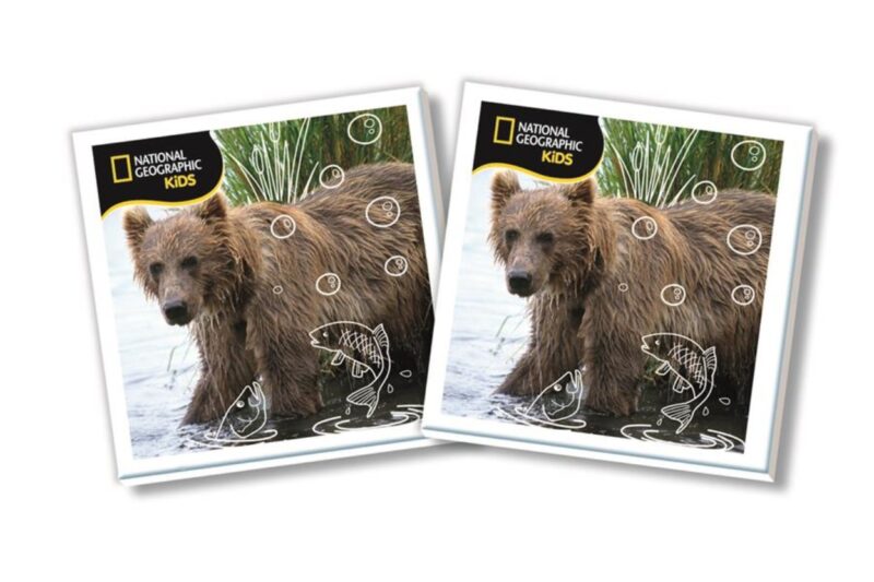 National Geographic Kids Memo - Memóriajáték - 2. Kép