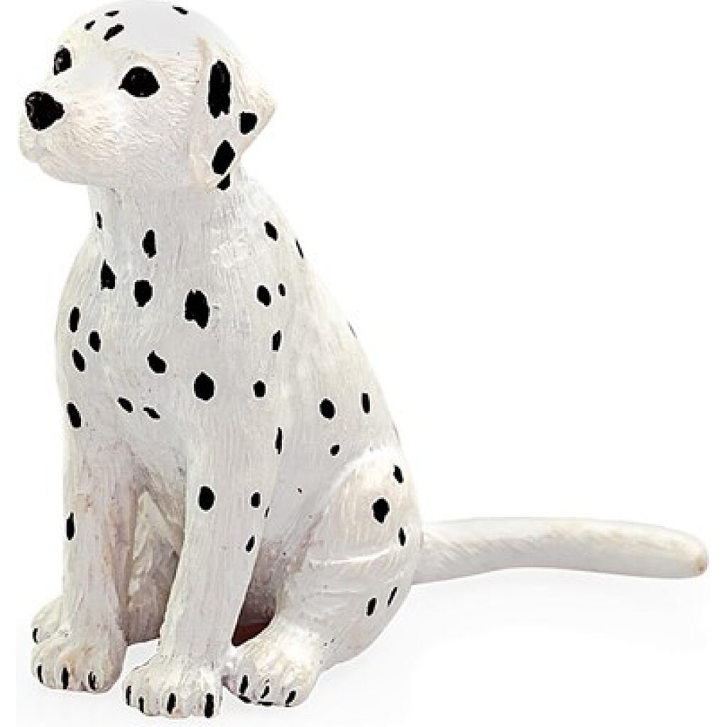 Dalmata kölyök S - Kép 1