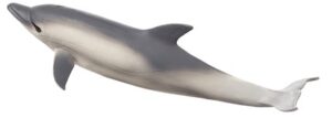 Delfin L - Kép 1