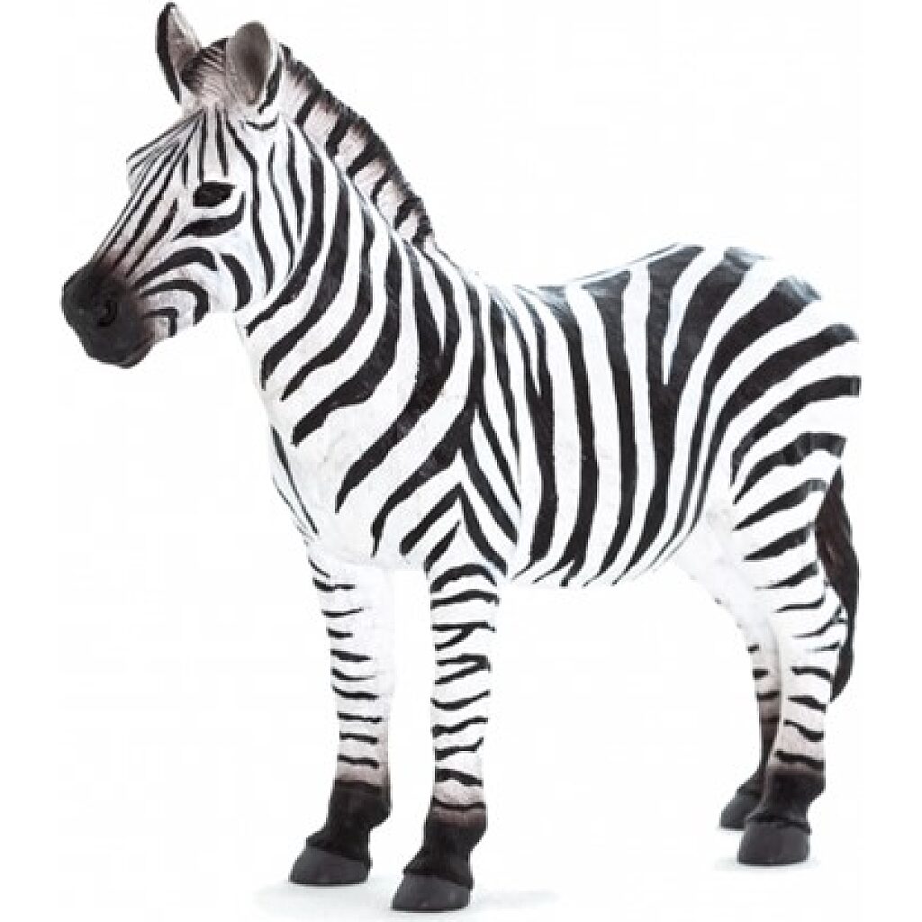 MJ387169 Zebra XL - Kép 1