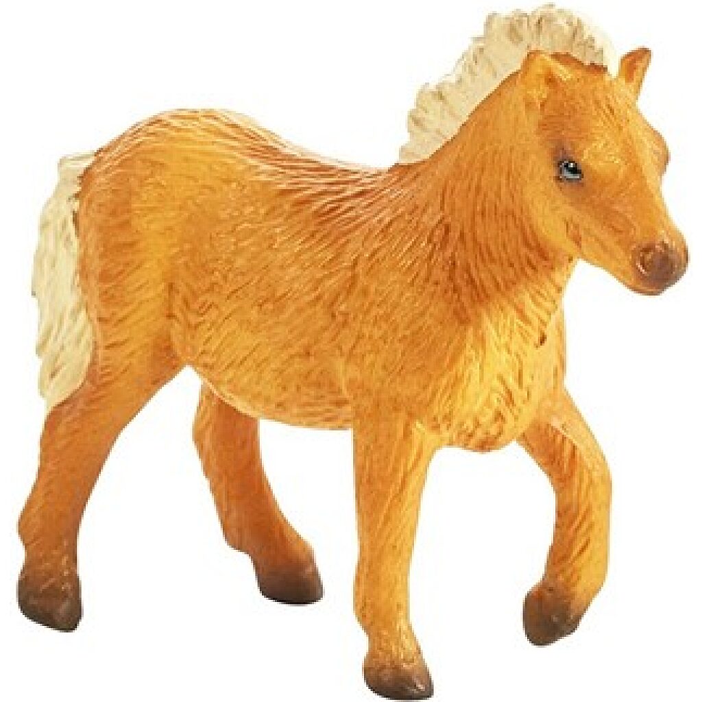 Shetland póni csikó S - Kép 1