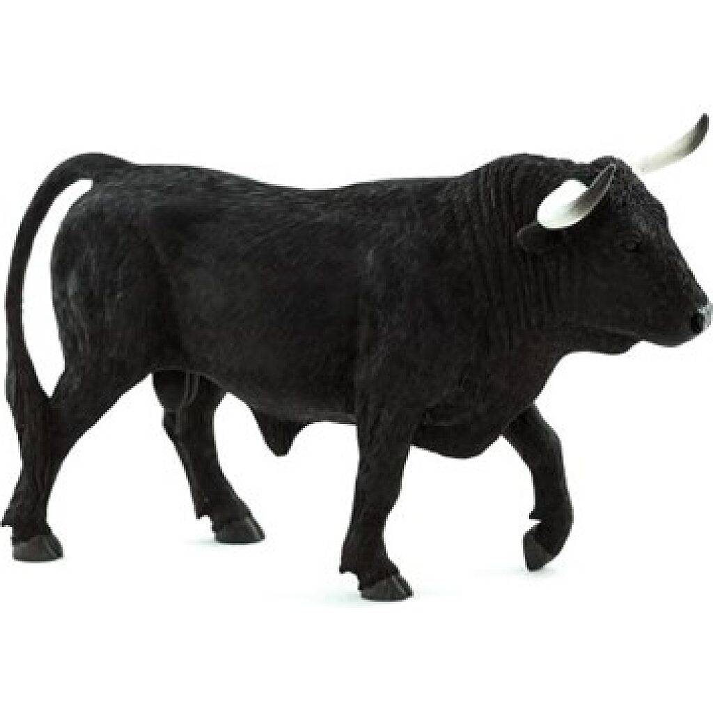 Spanyol bika XL - Kép 1