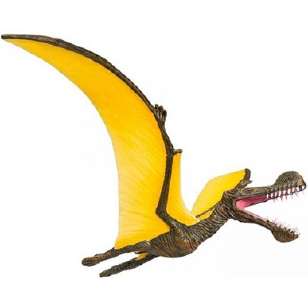 Tropeognathus L - Kép 2