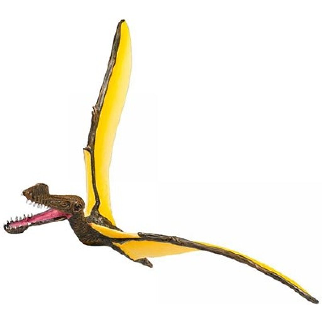 Tropeognathus L - Kép 1
