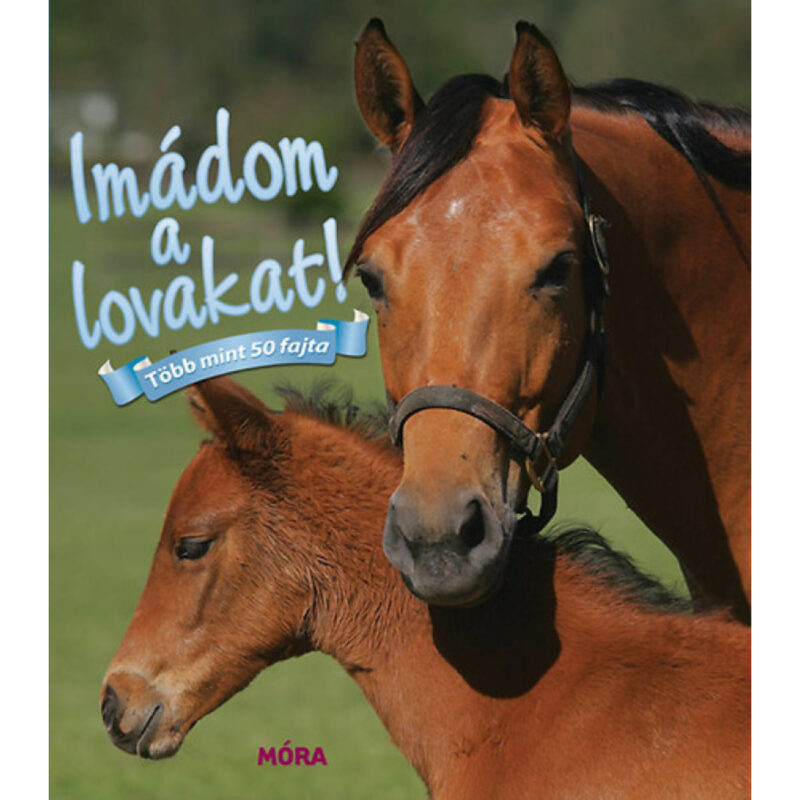 Imádom a lovakat! - 1. Kép