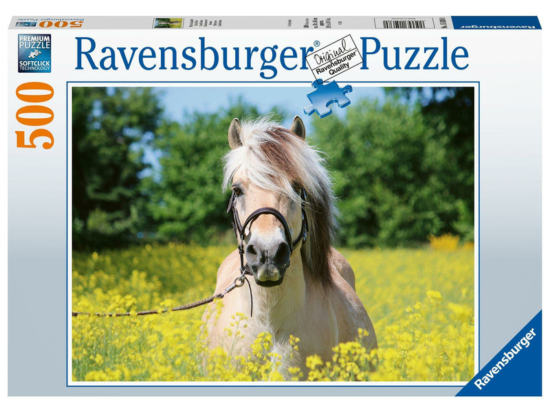 Puzzle 500 db - Ló a repcemezőn - 1. Kép