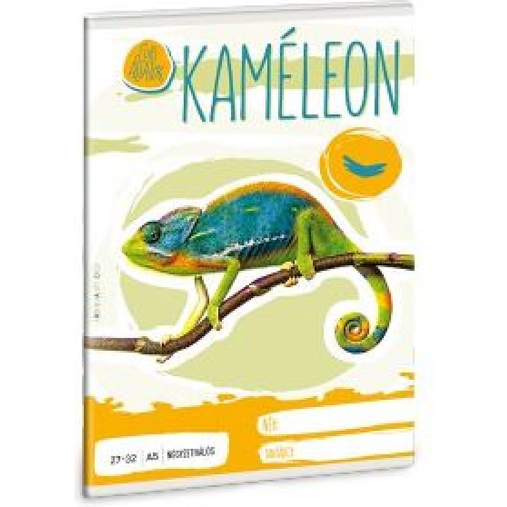 Ars Una: Kaméleon négyzetrácsos füzet - A5