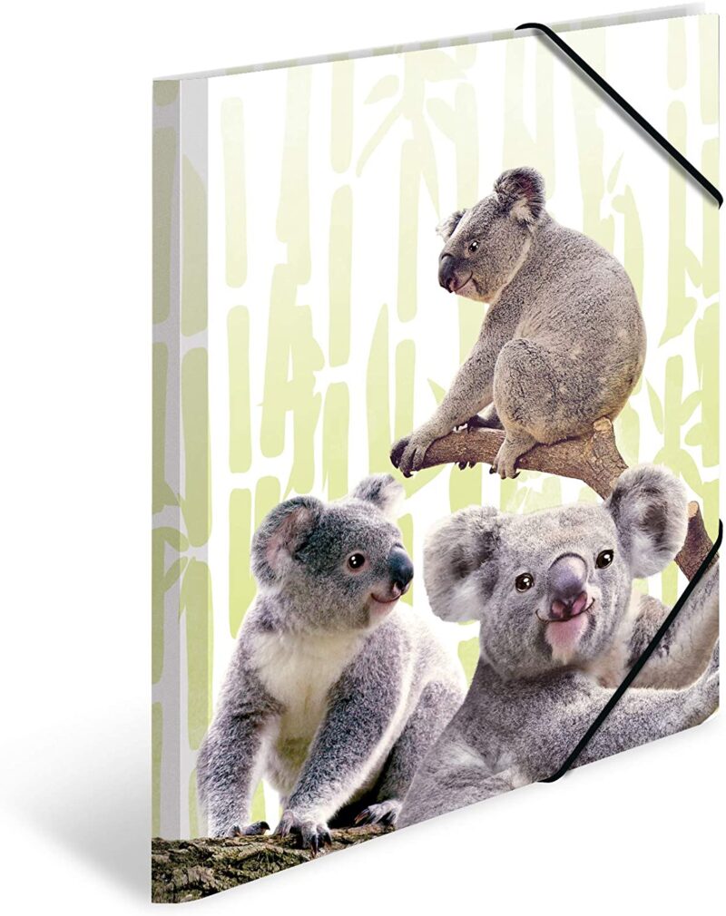 Herma: Koalás rajzgyüjtő PP gumis mappa