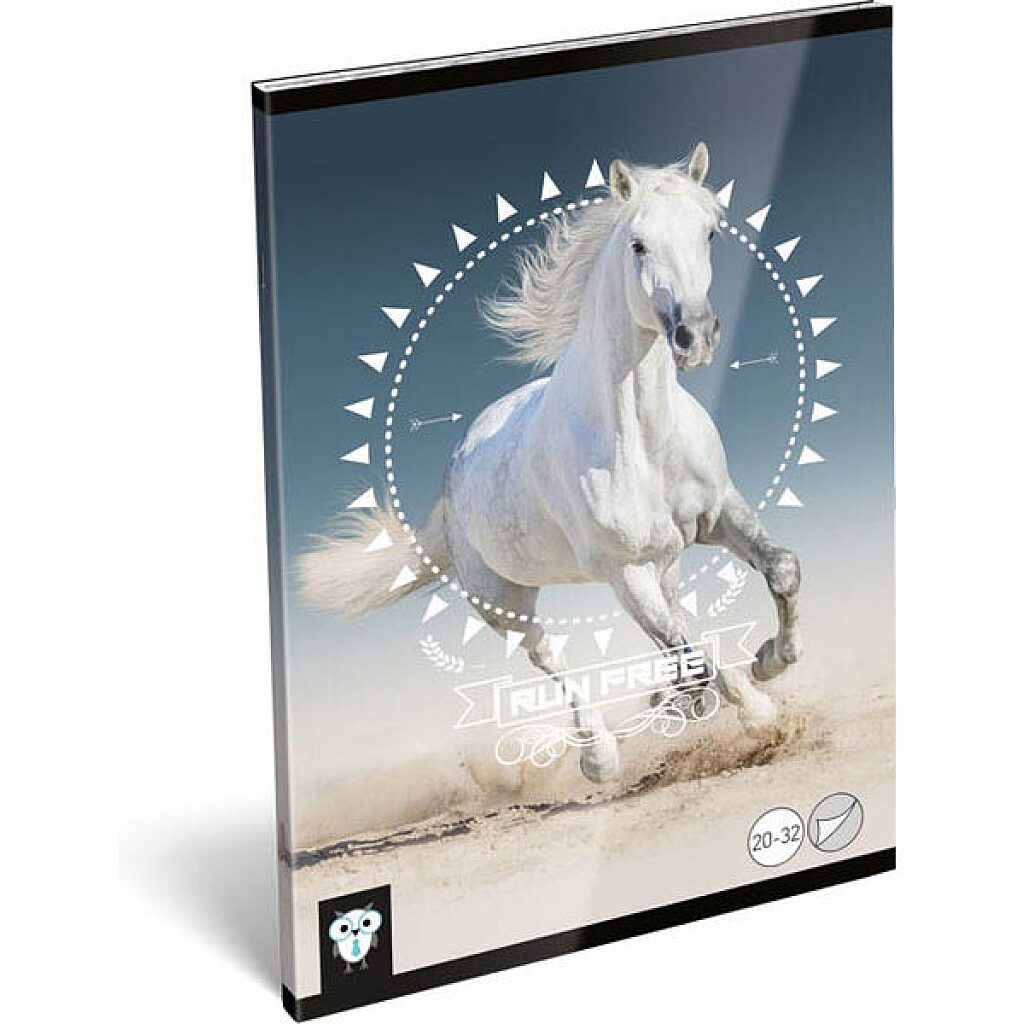KIS BAGOLY: Horse A5 sima füzet
