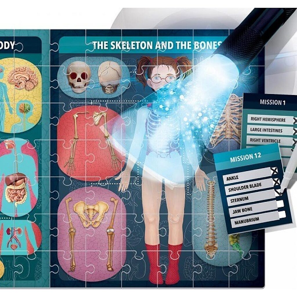 Headu: Az emberi test röntgen alatt logikai puzzle (angol nyelvű) - 3. Kép