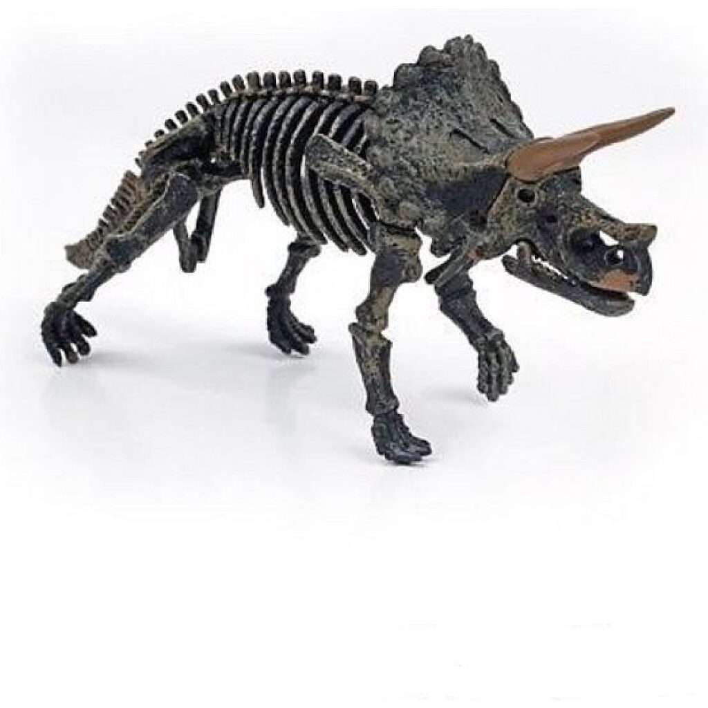 Magnoidz: 3D dinoszaurusz csontvázak - többféle - 2. Kép