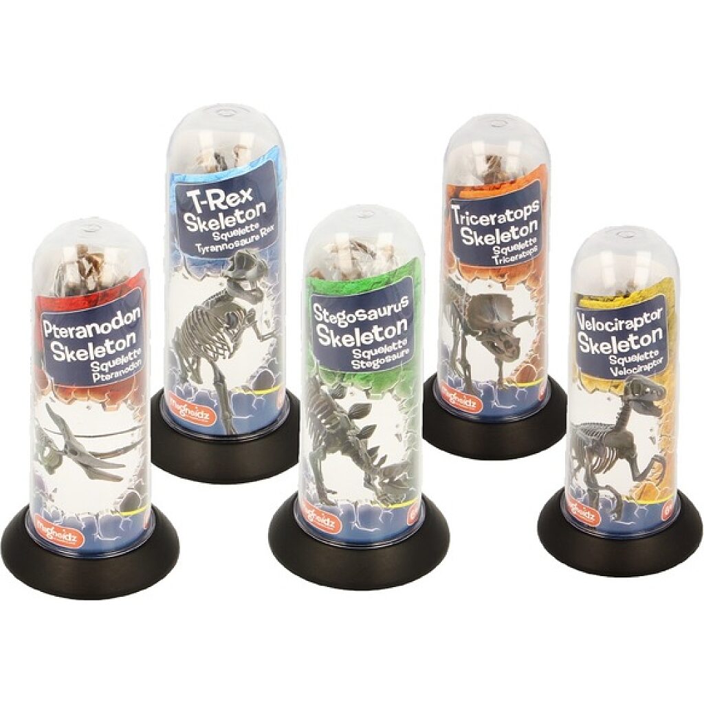 Magnoidz: 3D dinoszaurusz csontvázak - többféle - 1. Kép