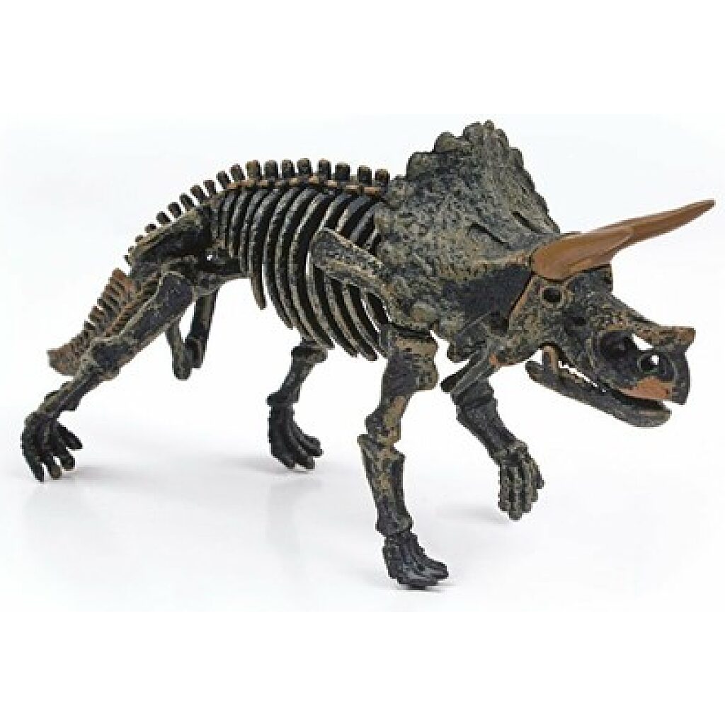 Magnoidz-Dinoszaurusz csontváz ásatás - 3. kép