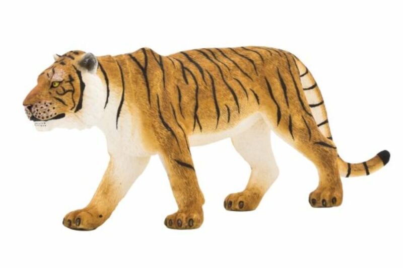 MJ387003 Bengáli tigris XL