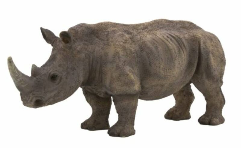 MJ387103 Rhinoceros fehér XL