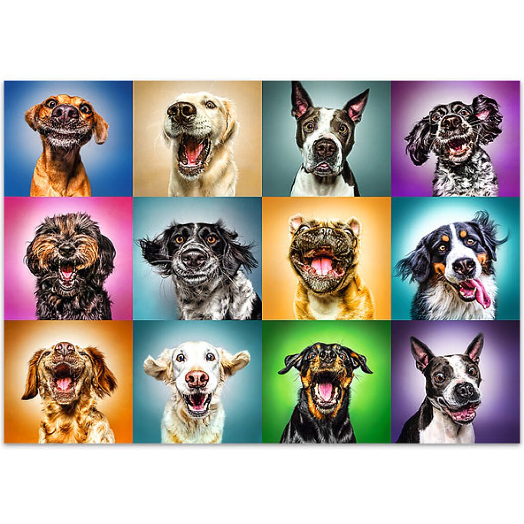 Trefl: Vicces kutyaportrék 1000 darabos puzzle - 2. Kép