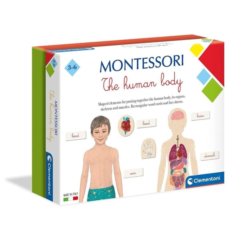 Montessori - Az emberi test - 1. Kép