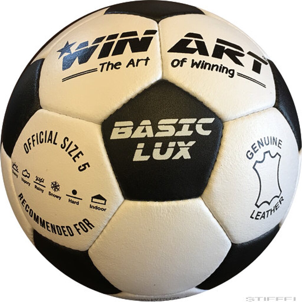 Winart Basic Lux bőr foci labda No.5.  0042 - 1. Kép