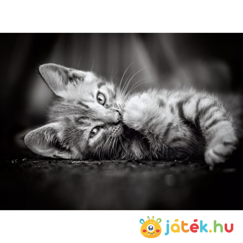 Fekete-fehér cica puzzle képe, 1000 db (Clementoni 39422)