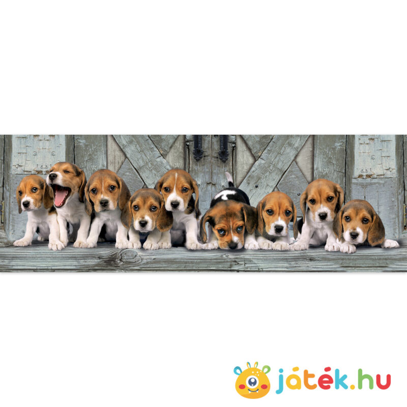 Beagle kutyák panoráma puzzle képe, 1000 db (Clementoni 39435)