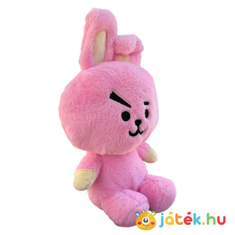 BT21: Cooky, a rózsaszín plüss nyúl, 26 cm, Jungkook karaktere jobbról