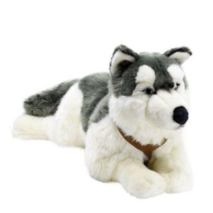 Élethű, óriás XXL méretű fekvő plüss husky kutya, 60 cm (Rappa)