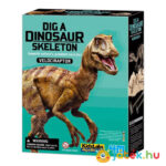 Dinoszaurusz régész készlet: Velociraptor (4M)