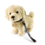Élethű golden retriever plüss kölyök kutya pórázzal, 25 cm (Rappa)