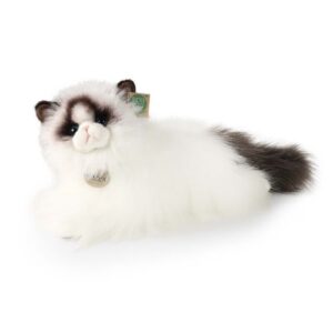 Élethű, fekvő, fehér ragdoll macska plüss cica, 35 cm (Rappa)
