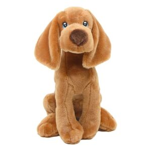 Ülő, világosbarna magyar vizsla kölyök kutya, 25 cm